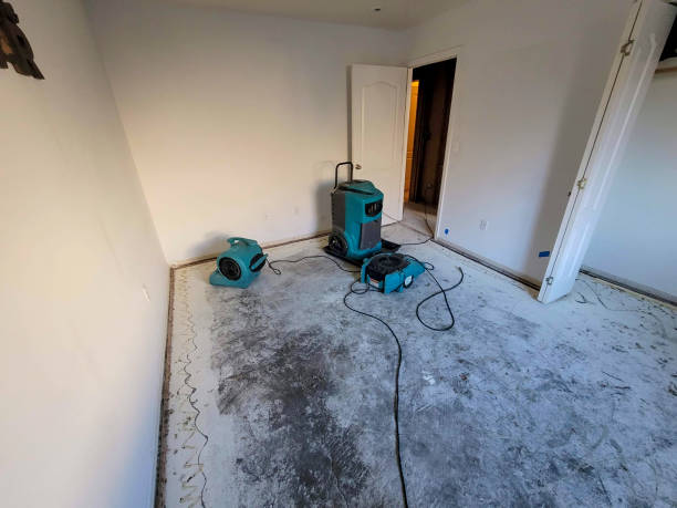 Best Residential Water Damage Restoration in Calera, OK